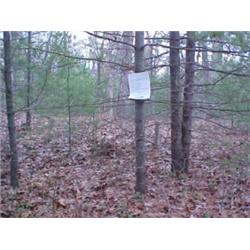 43073 MI Lake County