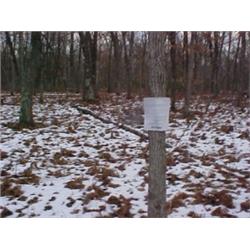 43075 MI Lake County