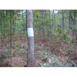 43076 MI Lake County