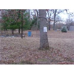 43084 MI Lake County