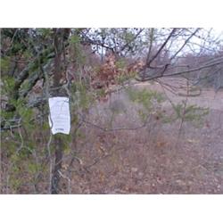 43085 MI Lake County