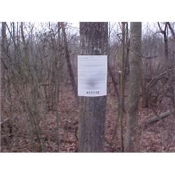 43087 MI Lake County