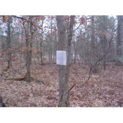 43089 MI Lake County