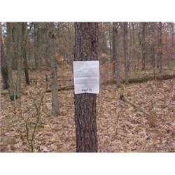 43090 MI Lake County