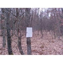 43091 MI Lake County