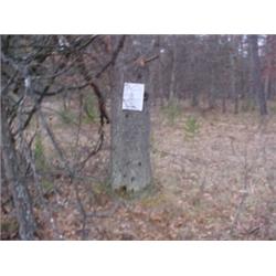 43092 MI Lake County