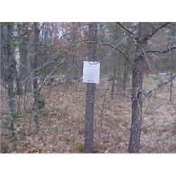 43093 MI Lake County