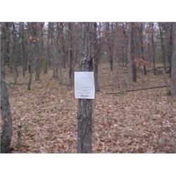 43095 MI Lake County