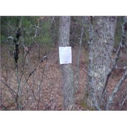 43096 MI Lake County