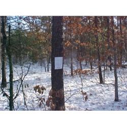 43097 MI Lake County