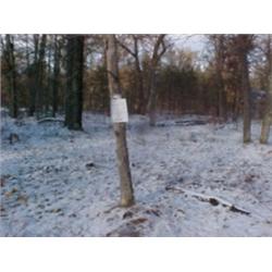 43099 MI Lake County