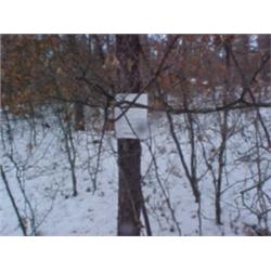 43101 MI Lake County