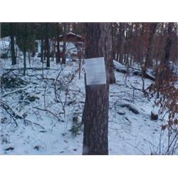 43103 MI Lake County