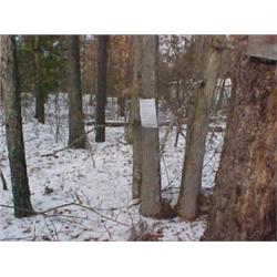 43104 MI Lake County