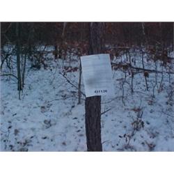 43105 MI Lake County