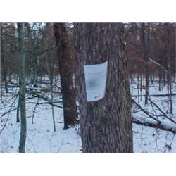 43106 MI Lake County