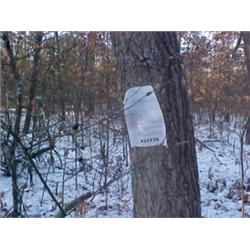 43107 MI Lake County