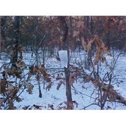 43109 MI Lake County