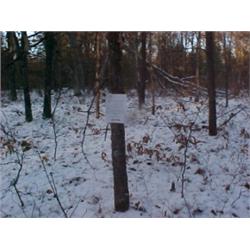 43110 MI Lake County