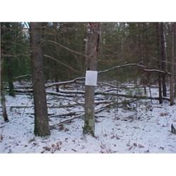 43111 MI Lake County