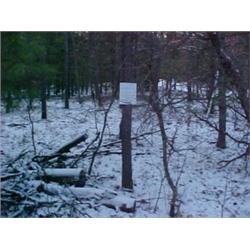 43112 MI Lake County