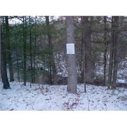 43113 MI Lake County