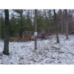 43114 MI Lake County