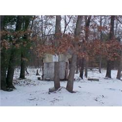 43116 MI Lake County