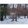 Image 1 : 43116 MI Lake County
