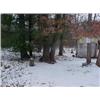 Image 2 : 43116 MI Lake County