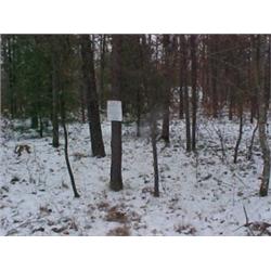 43117 MI Lake County