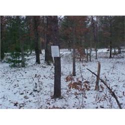 43118 MI Lake County