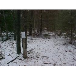 43119 MI Lake County