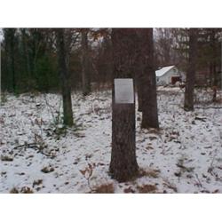 43120 MI Lake County