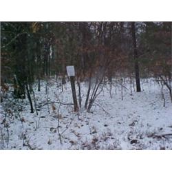 43121 MI Lake County