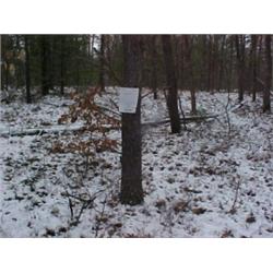 43122 MI Lake County