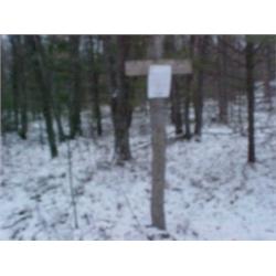 43123 MI Lake County