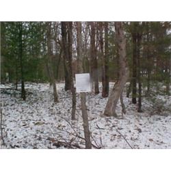 43124 MI Lake County