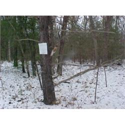 43125 MI Lake County