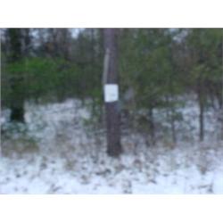 43126 MI Lake County