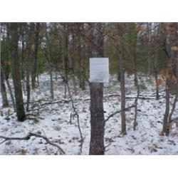 43127 MI Lake County