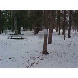 43128 MI Lake County 02566 W MARQUETTE CIR DR