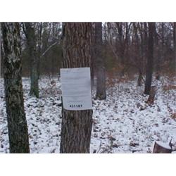 43129 MI Lake County