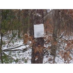 43130 MI Lake County