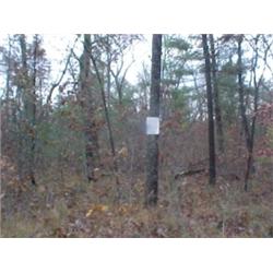 43134 MI Lake County