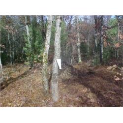 43136 MI Lake County