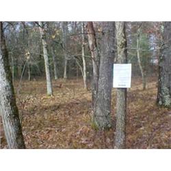 43137 MI Lake County