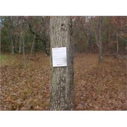 43138 MI Lake County