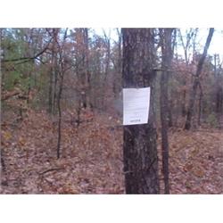 43139 MI Lake County