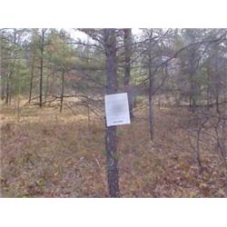 43141 MI Lake County